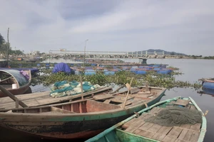 Khu vực cá nuôi trong lồng bè bị chết trên sông ở huyện Thạch Hà, tỉnh Hà Tĩnh