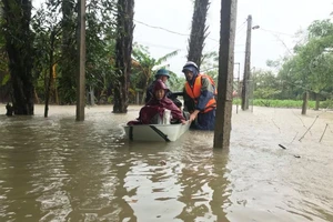 Lực lượng chức năng ở xã Thạch Đài (huyện Thạch Hà, tỉnh Hà Tĩnh) giúp đưa người lớn tuối đến nơi tránh trú an toàn