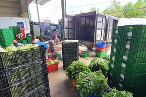 Bộ NN-PTNT đề nghị TPHCM tổng hợp nhu cầu lương thực, thực phẩm cần cung ứng