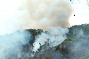 Hiện trường thời điểm xảy ra vụ cháy rừng ở xã Kỳ Bắc