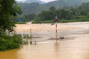 Cầu tràn bắc qua sông Ngàn Sâu vào bản Rào Tre (ở xã Hương Liên, huyện Hương Khê, Hà Tĩnh) đã bị ngập nước sâu, gây chia cắt hoàn toàn