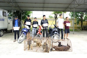 Bắt giữ băng nhóm gây ra hàng loạt vụ trộm chó ở Hà Tình