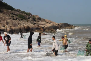 Nhiều người dân ra bờ biển xã Kỳ Phú (Kỳ Anh, Hà Tĩnh) vớt "lộc biển" đầu năm