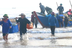 Ngư dân xã Kỳ Phú đưa cá vào bờ 