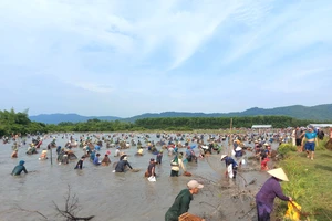 Hàng ngàn người dân nô nức lội Vực Rào bắt cá