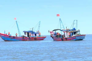 Cặp tàu cá NA 90746 TS và NA 90494 TS, khai thác hải sản sai quy định bị phát hiện, bắt giữ 