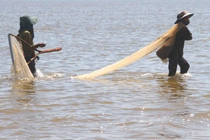 Hà Tĩnh: Người dân đổ xô cào “lộc biển” ốc ruốc sau mưa lũ