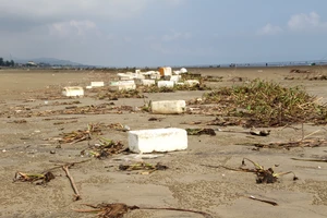 Ngổn ngang bèo lục bình và rác các loại làm nhếch nhác bãi biển huyện Lộc Hà 