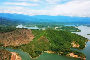 Vẻ đẹp thiên nhiên hoang sơ, kỳ vĩ ở Vườn Quốc gia Vũ Quang 