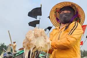 Ngư dân ở xã Thạch Trị phấn khởi vì được nhiều sứa biển 