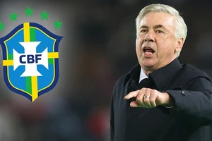 Các tuyển thủ Brazil để cảm nhận rõ khả năng cao Carlo Ancelotti sẽ là HLV mới của Selecao.