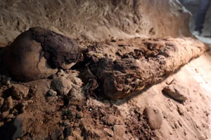 Ohamed Hamza, Trưởng khoa Khảo cổ học Đại học Cairo, người phụ trách cuộc khai quật cho biết, các xác ướp này trong giai đoạn Greco-Roman, giai đoạn kéo dài khoảng 600 năm bắt đầu từ năm 332 trước Công nguyên. Ảnh Reuters