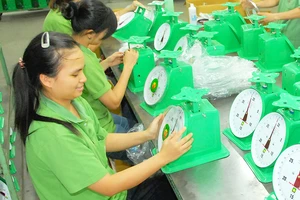 Sản xuất tại Công ty Nhơn Hòa Ảnh: CAO THĂNG