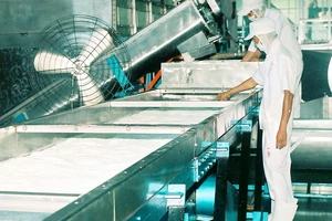 Sản xuất cơm dừa nạo sấy tại Công ty Xuất nhập khẩu Bến Tre Ảnh: HOÀNG HÀ