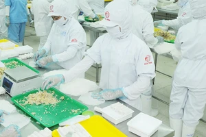 Sản xuất thực phẩm chế biến tại một doanh nghiệp có sản phẩm bán tại một siêu thị Hàn Quốc Ảnh: CAO THĂNG