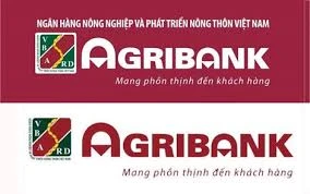 Đề nghị truy tố nguyên giám đốc AgriBank Bến Thành