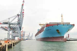 Tàu siêu trọng vào nhận hàng tại khu cảng Cái Mép - Thị Vải Ảnh: CAO THĂNG