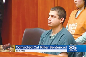 Bị 16 năm tù vì giết 21 con mèo