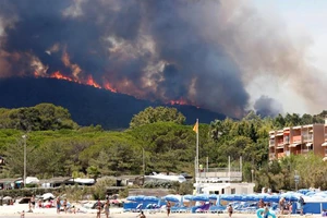 Các vụ cháy rừng ở Pháp kêu gọi khẩn cấp. Ảnh: REUTERS