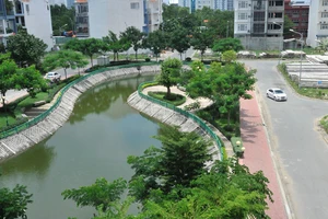 Hồ chứa nước mưa, tạo môi trường xanh trong một khu dân cư ở quận 7 (TPHCM) Ảnh: CAO THĂNG