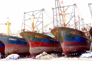 Ngư dân Quảng Nam thắng kiện đơn vị đóng tàu tàu vỏ thép