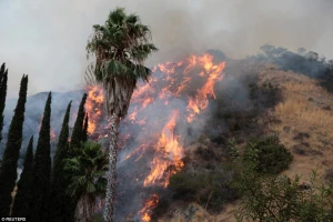 Đây được xem là vụ cháy rừng lớn nhất trong lịch sử TP Los Angeles, bang California (Mỹ) khi lửa đã thiêu rụi 2.000ha rừng. Ảnh REUTERS