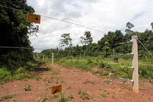 Hàng rào điện bao quanh bìa rừng tại xã Mã Đà. Ảnh: Phước Tuấn