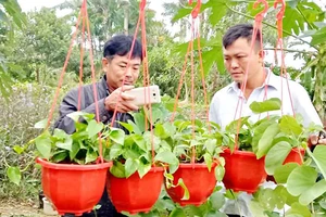 Anh Nguyễn Hữu Hóa (bên phải) tra cứu những thông tin từ mạng internet để tìm kiếm đầu ra cho hoa, cây cảnh của mình