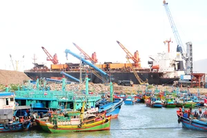 Việc mở rộng lấp cảng sẽ khiến cảng cá Quy Nhơn rớt hạng, gây nhiều bất lợi cho Bình Định