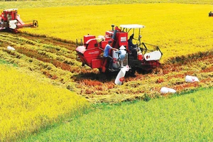 Đẩy mạnh cơ giới hóa nông nghiệp ĐBSCL Ảnh: DUY BẰNG