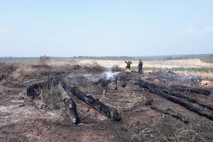 Những ngày đầu năm 2018, gỗ khai thác đã 2 lần bị cháy 