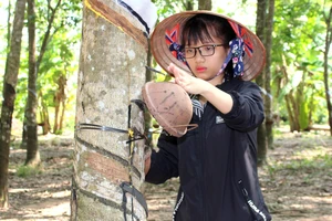 Tranh thủ ngày nghỉ học, Trang về Bình Phước, theo mẹ lên lô bóc mủ cao su thuê
