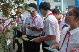 Giờ học môn Sinh lớp 6 ở Trường THCS Nguyễn Gia Thiều (quận Tân Bình)