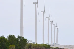 Điện gió, nguồn năng lượng tái tạo thực hiện thành công tại Bạc Liêu Ảnh: CAO THĂNG