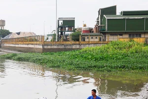 Nhà máy nằm sát bên sông Đồng Nai Ảnh: THÀNH TRÍ