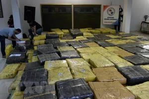 Cảnh sát Paraguay trưng bày số cần sa thu giữ trong các chiến dịch truy quét tội phạm ma túy ở Guayaibi. Ảnh: Nguồn TTXVN