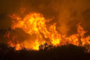 Cháy rừng bùng phát tại ở bang California. Ảnh: AP