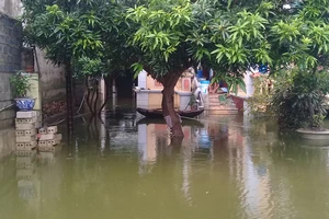 Dân “rốn lụt” Hà Nội vẫn chồng chất khó khăn