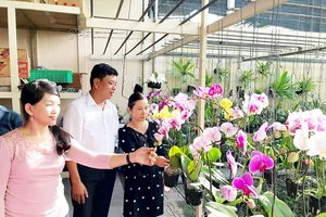 Đại diện HTX Hoa lan Huyền Thoại tham quan giới thiệu sản phẩm hoa lan cắt cành ở TP Cần Thơ
