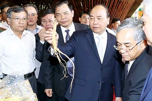 Thủ tướng Nguyễn Xuân Phúc xem các gian hàng trưng bày sản phẩm về sâm Ngọc Linh Kon Tum 