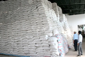 Dự báo xuất khẩu gạo sắp tới sẽ tiếp tục khởi sắc 