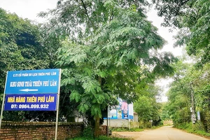 Khu sinh thái, nghỉ dưỡng xây dựng trên đất rừng phòng hộ ở thôn Lâm Trường, xã Minh Phú, Sóc Sơn