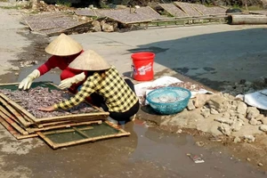 Thu mua và chế biến hải sản để nước thải chảy ra đường, gây ô nhiễm môi trường quanh cảng cá Quỳnh Lập 