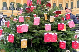 Cây ước nguyện cho trẻ em Làng SOS trong chợ Giáng sinh tại cung điện Schonbrunn, Áo