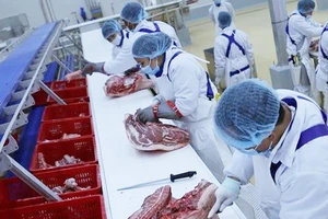 Dây chuyền sản xuất theo công nghệ thịt mát. Ảnh: TTXVN