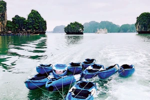 Vịnh Hạ Long là một trong những điểm đến hấp dẫn của du lịch Việt Nam. Ảnh: TẤN BA