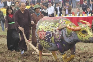 Phó Thủ tướng thực hiện nghi thức cày ruộng tại Lễ hội Tịch điền. Ảnh: VGP