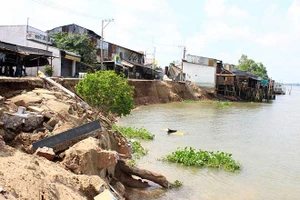 Xuất hiện vết nứt dài 70m ở bờ sông Hậu thuộc An Giang