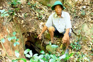 Hầm địa đạo nằm sâu trong rừng Sầu Đâu (thôn Hải Môn, xã Phổ Minh, huyện Đức Phổ, Quảng Ngãi)