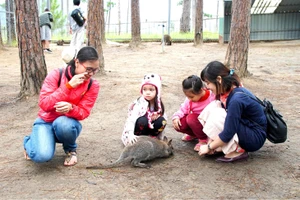  Cha mẹ có vai trò quan trọng trong việc giáo dục nhân cách cho con cái (ảnh: Mẹ hướng dẫn các con cách yêu thương động vật tại VooDoo Đà Lạt). Ảnh: HOÀNG HÙNG 